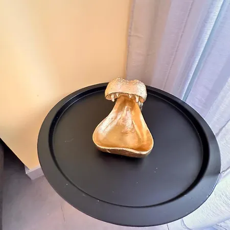 Coeur Delille Fshh Aparthotel Nizza